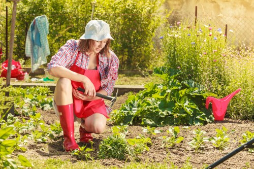 Residential lawn mowing by professionals